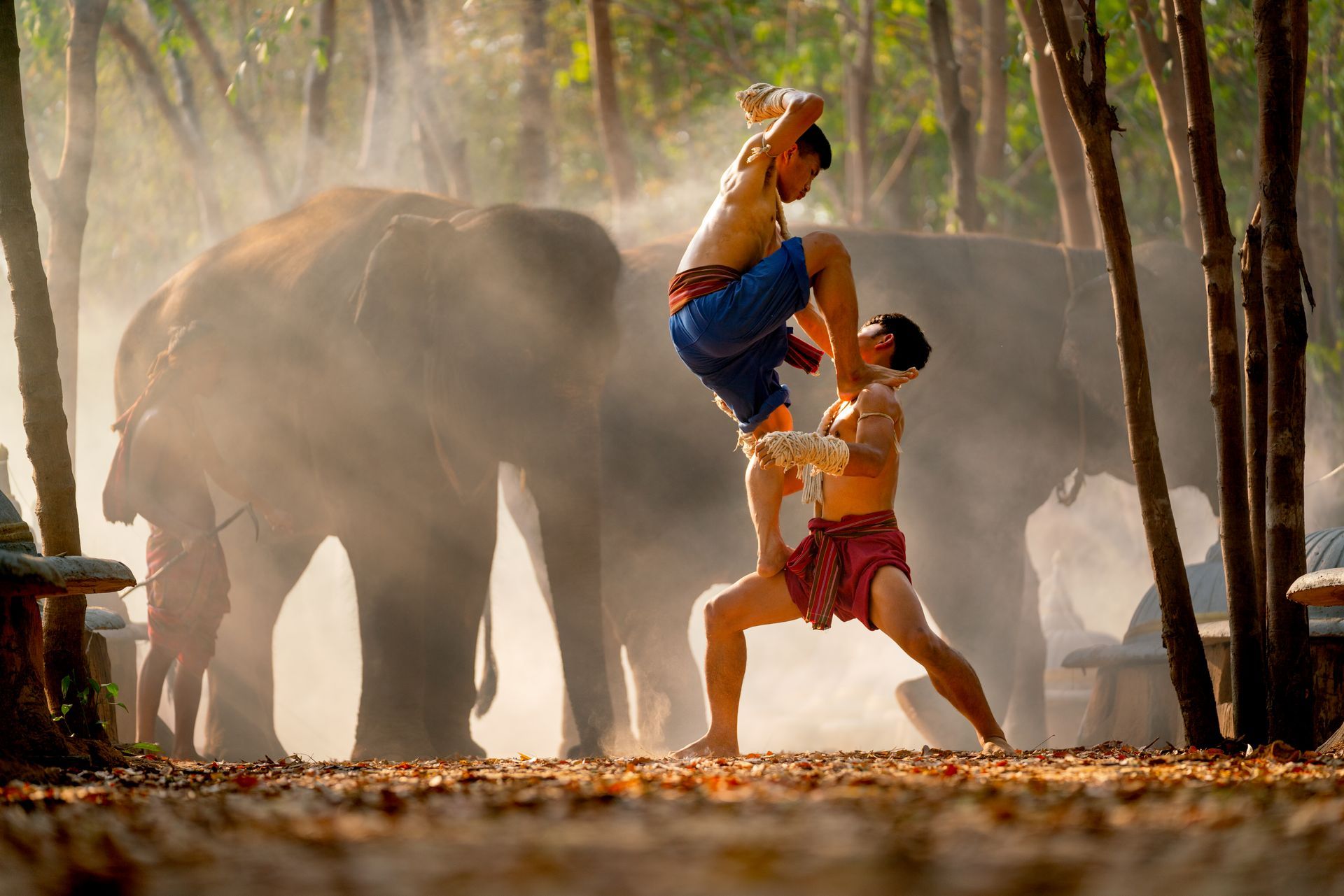 Two men are practicing martial arts in front of an elephant.