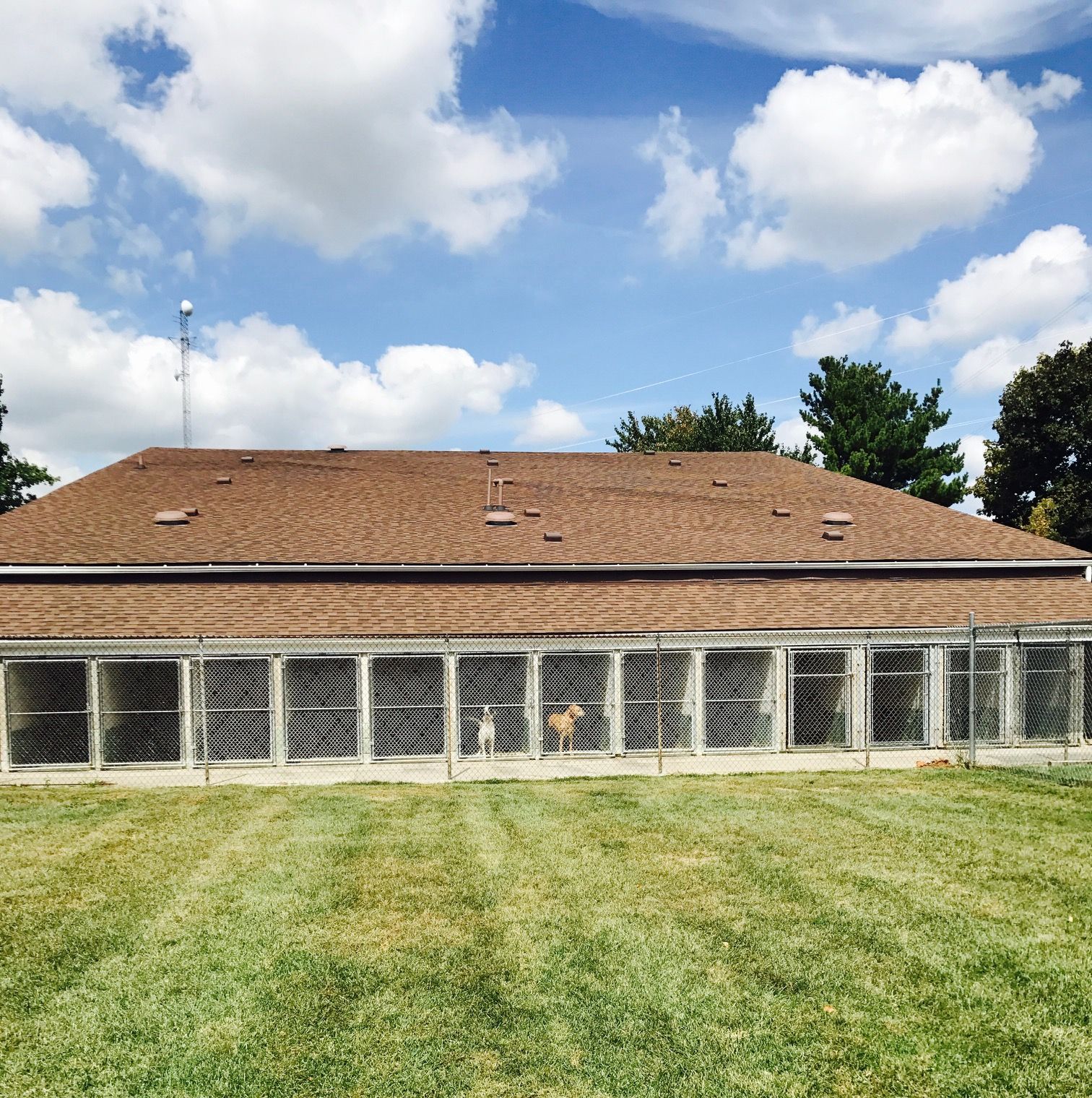 Building with multiple animal enclosures under a brown roof, in a grassy area with blue sky.
