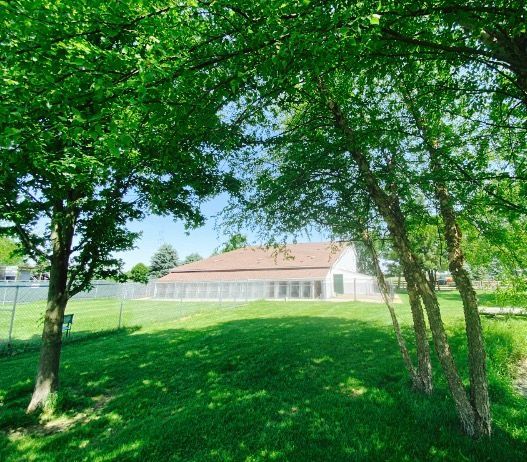Grassy park with trees framing a building with a long, tan roof, under a bright, sunny sky.