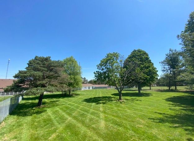 Lush green grass and trees under a clear blue sky; building and fence in the background.
