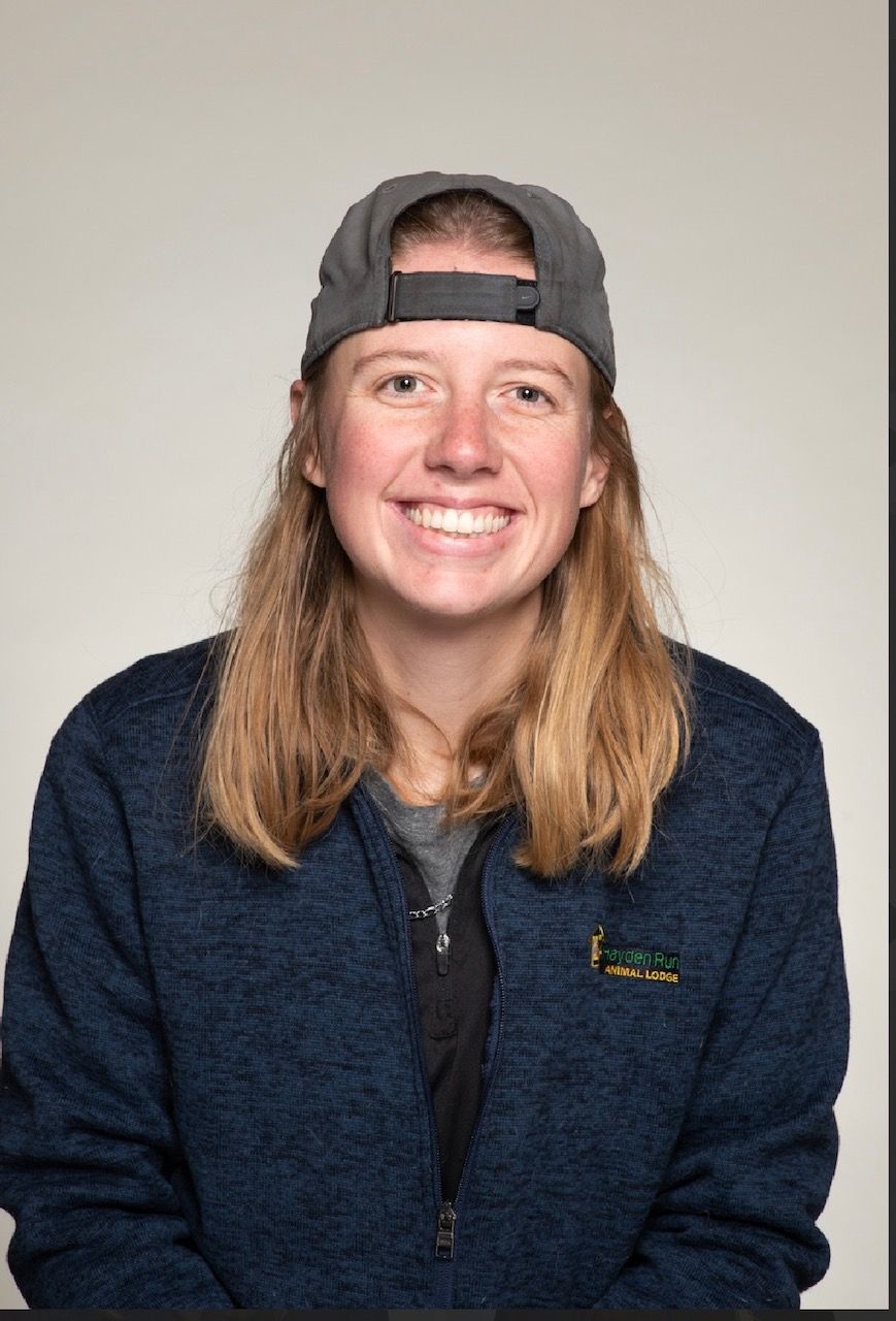 Man with short brown hair wearing a light blue polo shirt, laughing with mouth open.