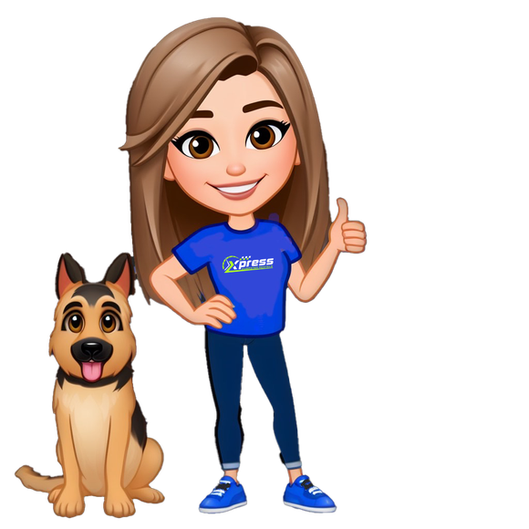 Xpress Dumpster Rentals 