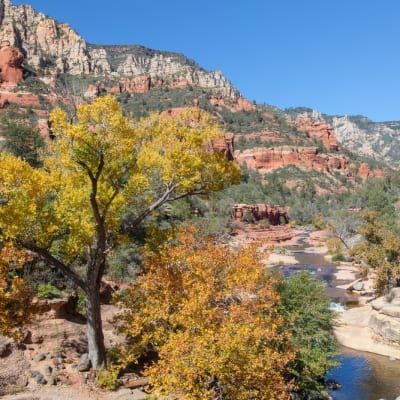 A river runs through a valley surrounded by trees and mountains