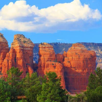 A large rock formation with trees in the foreground and mountains in the background.