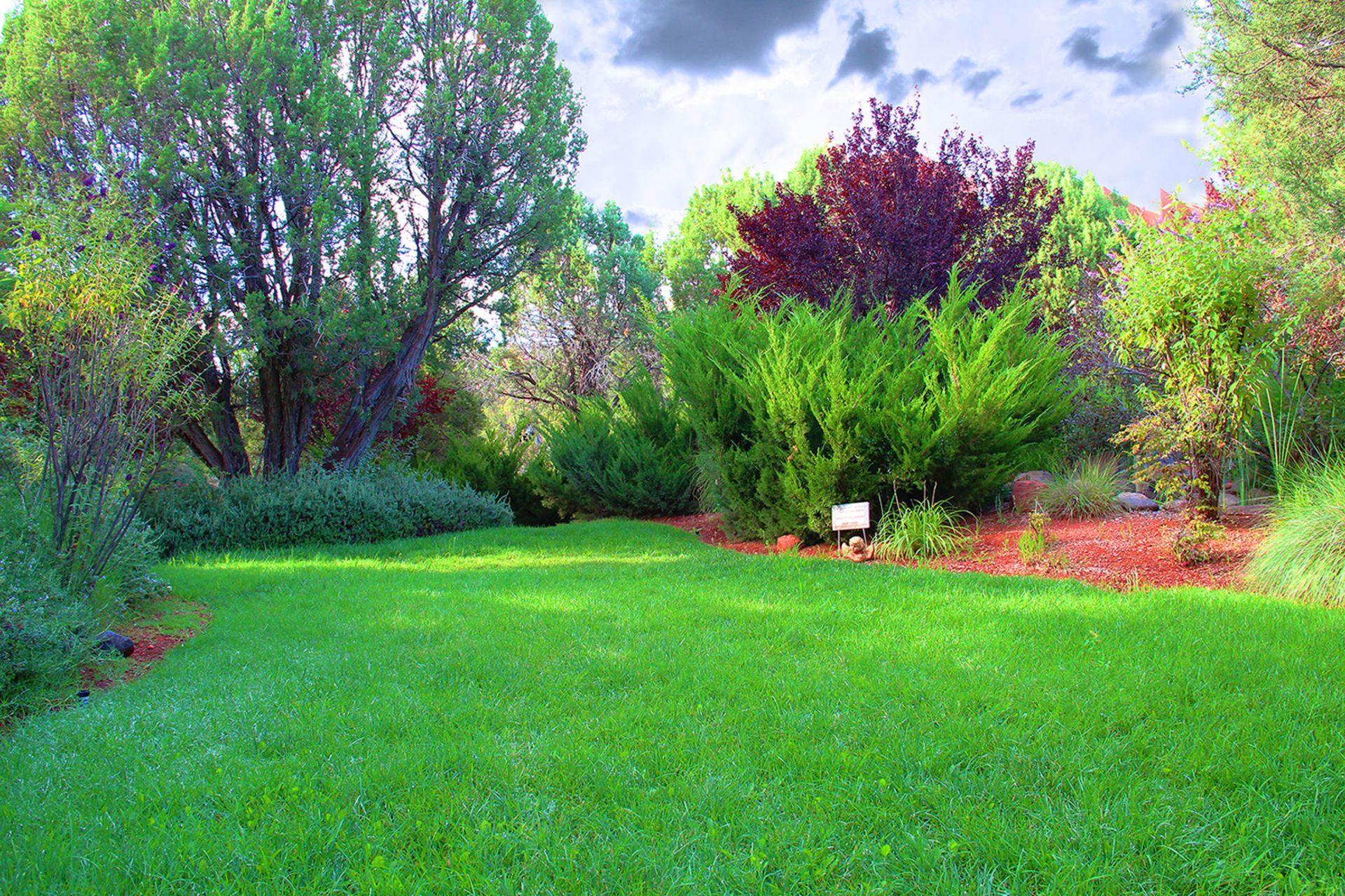 A lush green field with trees and bushes in the background