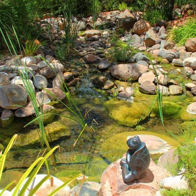 A frog statue is sitting on top of a rock next to a pond.