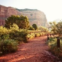 A dirt path leading to a mountain surrounded by trees and bushes.