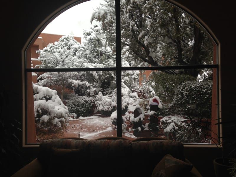 A window with a view of snow covered trees and bushes