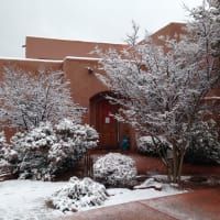 A house with trees covered in snow in front of it.