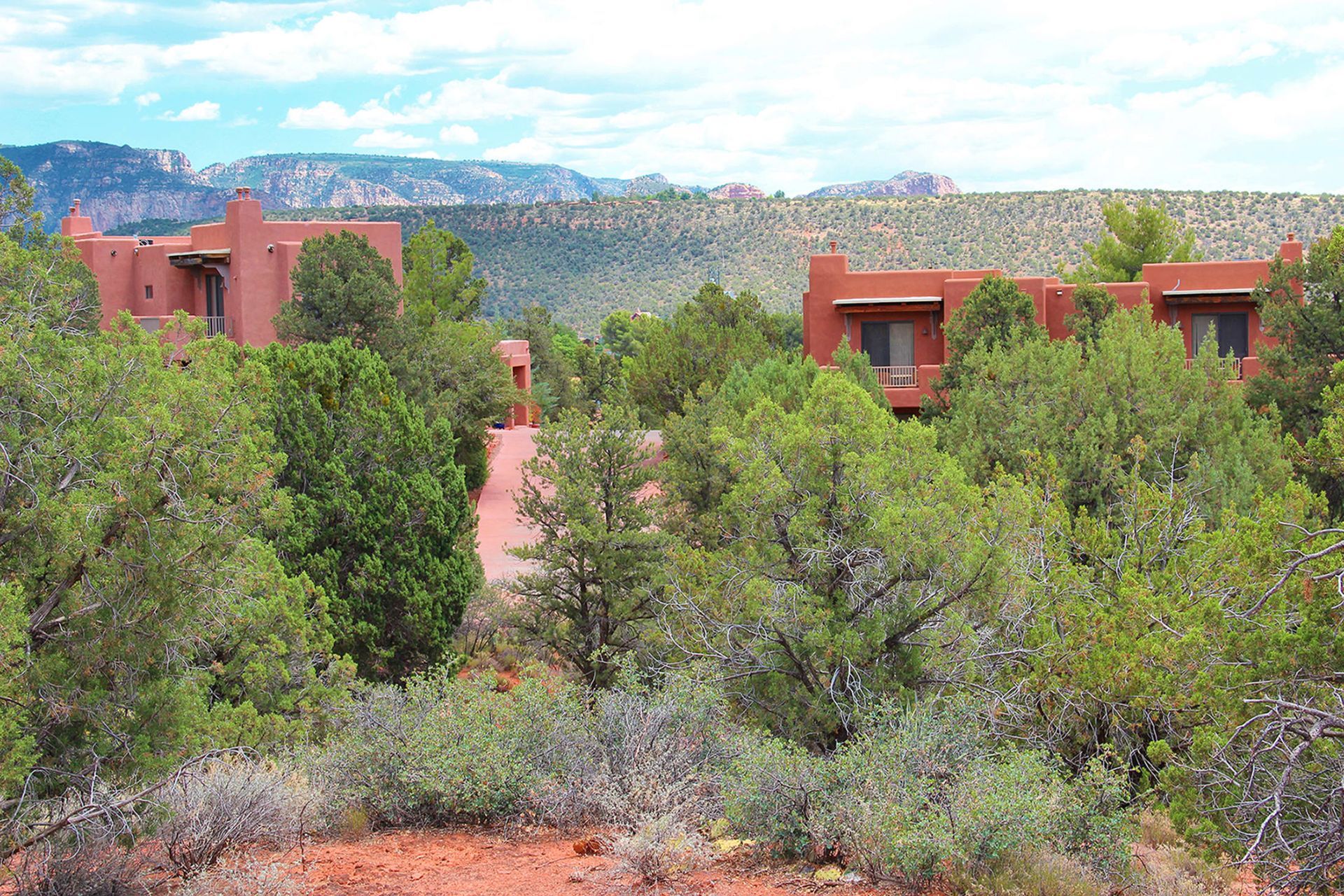 A house in the middle of a forest with mountains in the background