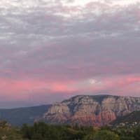 A mountain covered in trees with a pink sky in the background.