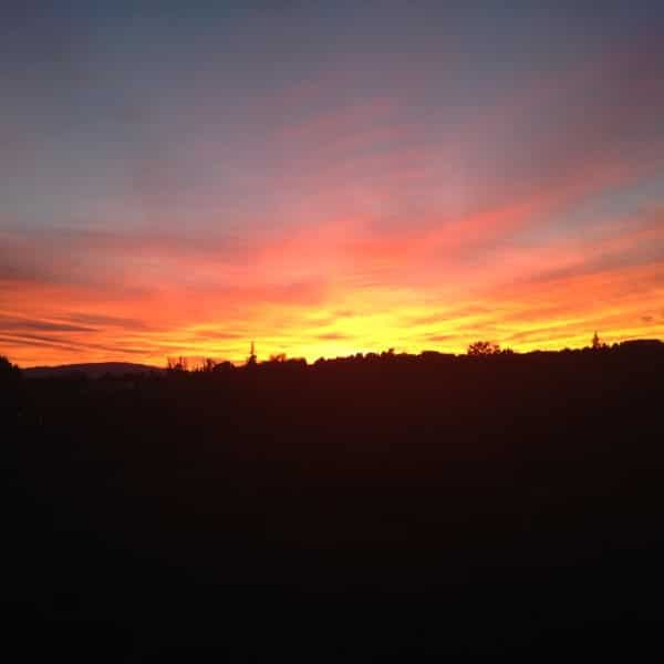 A sunset over a field with trees in the foreground