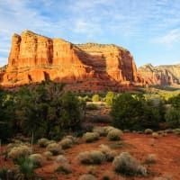 A large rock formation in the middle of a desert surrounded by trees and bushes.