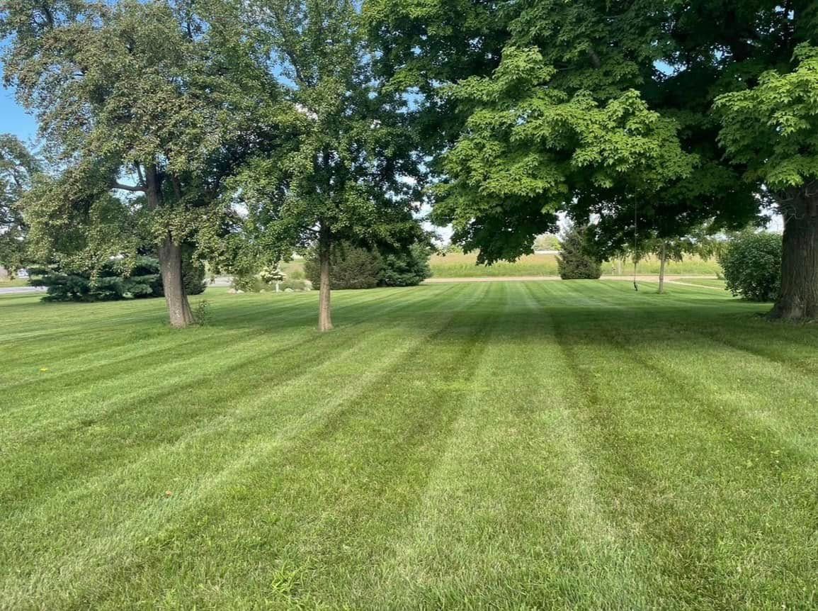 A lush green lawn with trees in the background.