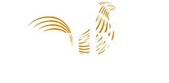Roost Realty | Pay Rent Online