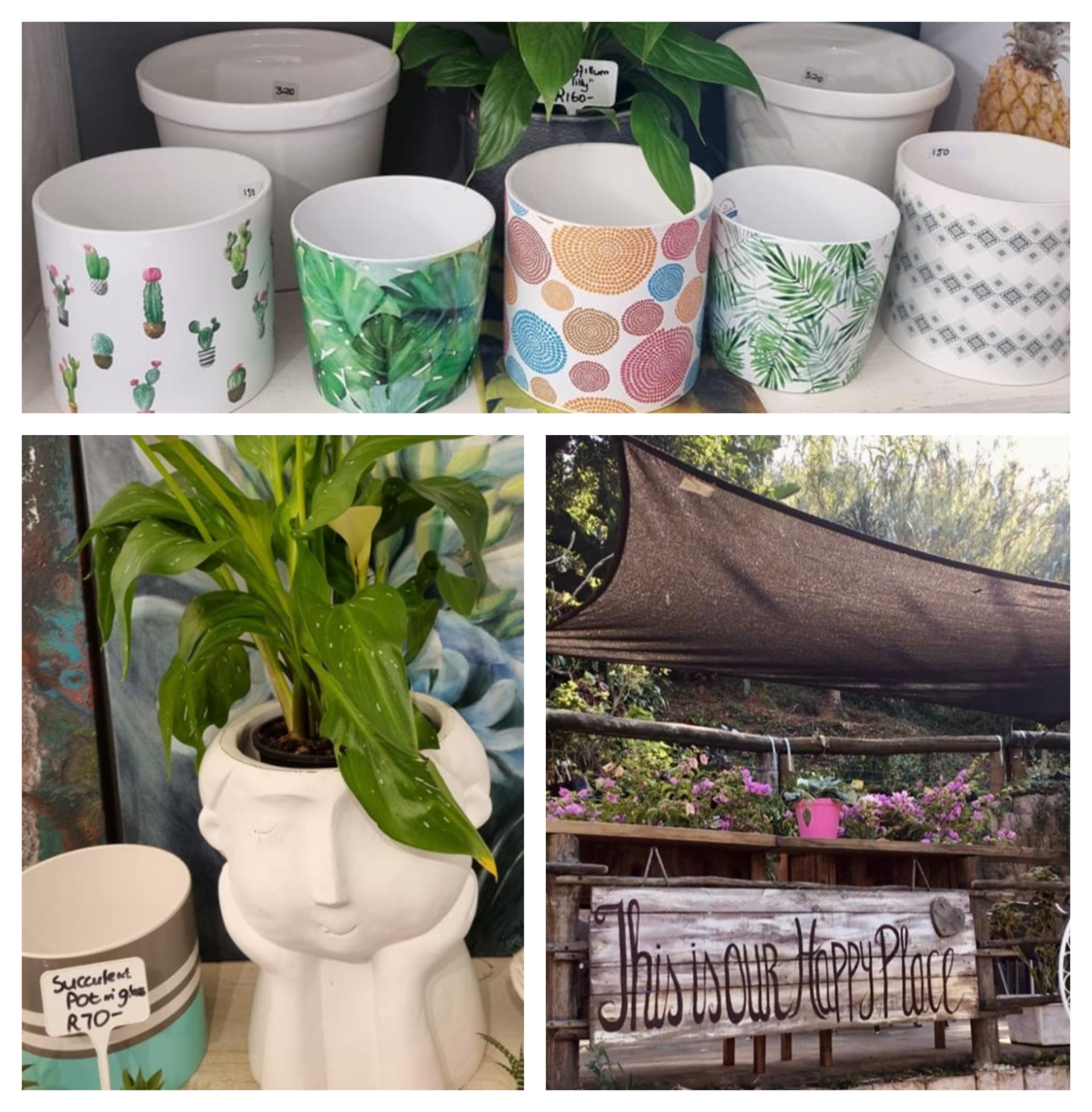 Bloomingdales Garden Centre, Coffee Shop and Nursey in Durban North