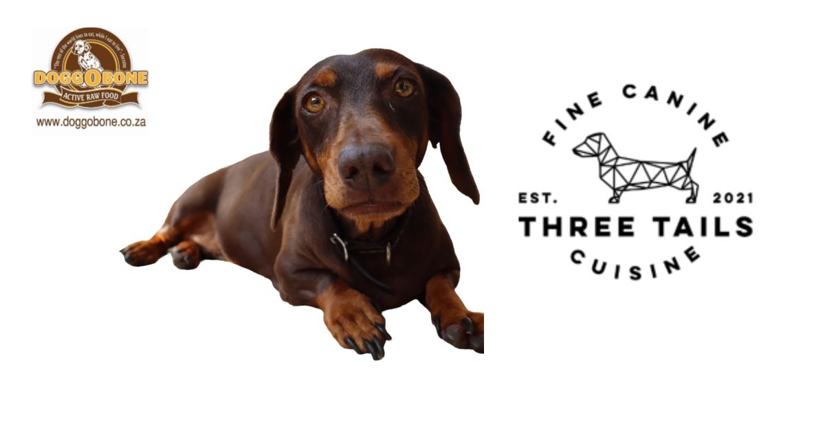 dog-food-three-tails-durban