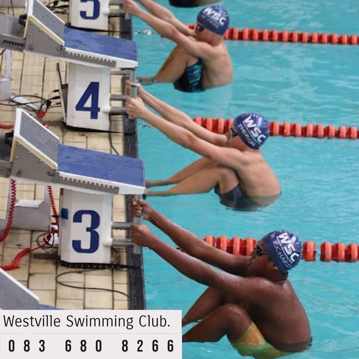 Westville Swim Club