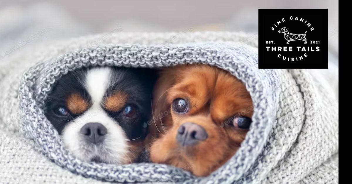 three-tails-dog-food-supplier