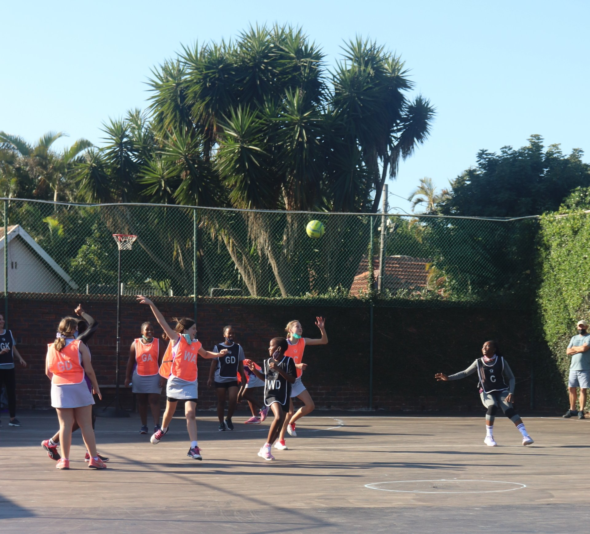 Fitness Alive Netball training