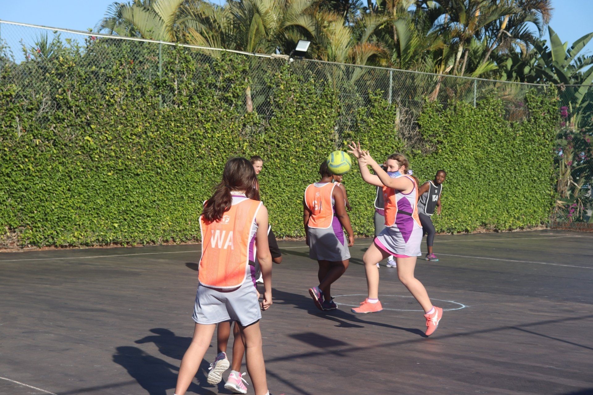 Action Netball Teams