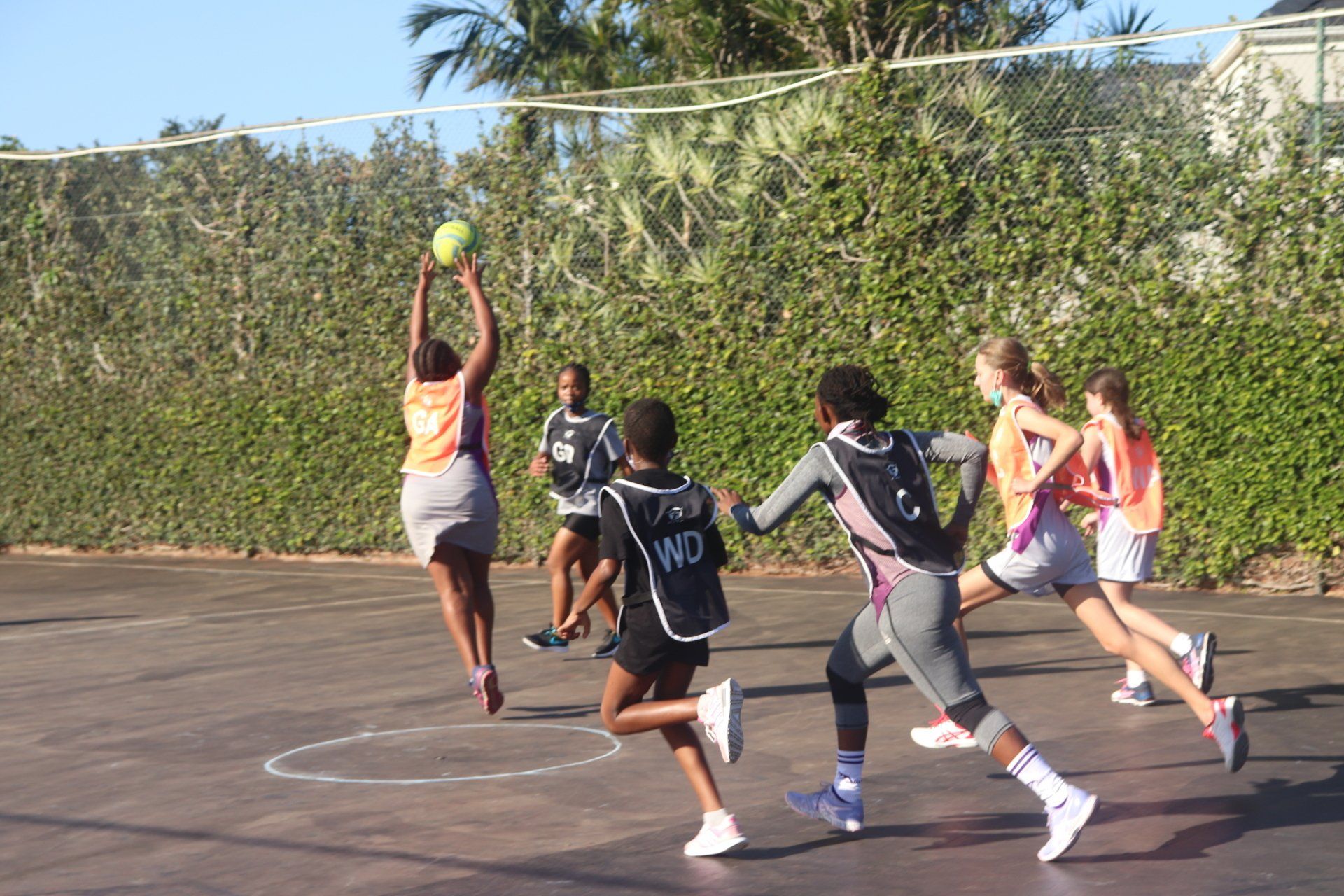 Action Netball teams