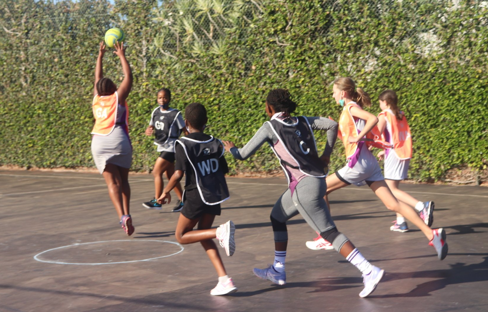 Netball Players 25- 35 years | Join FitnessAlive