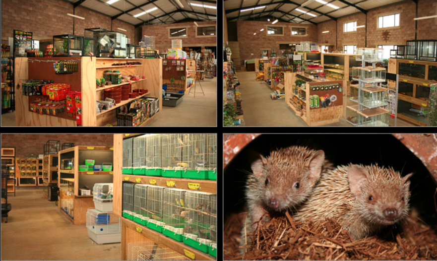 Pet Shop Hillcrest | Creatures and Critters