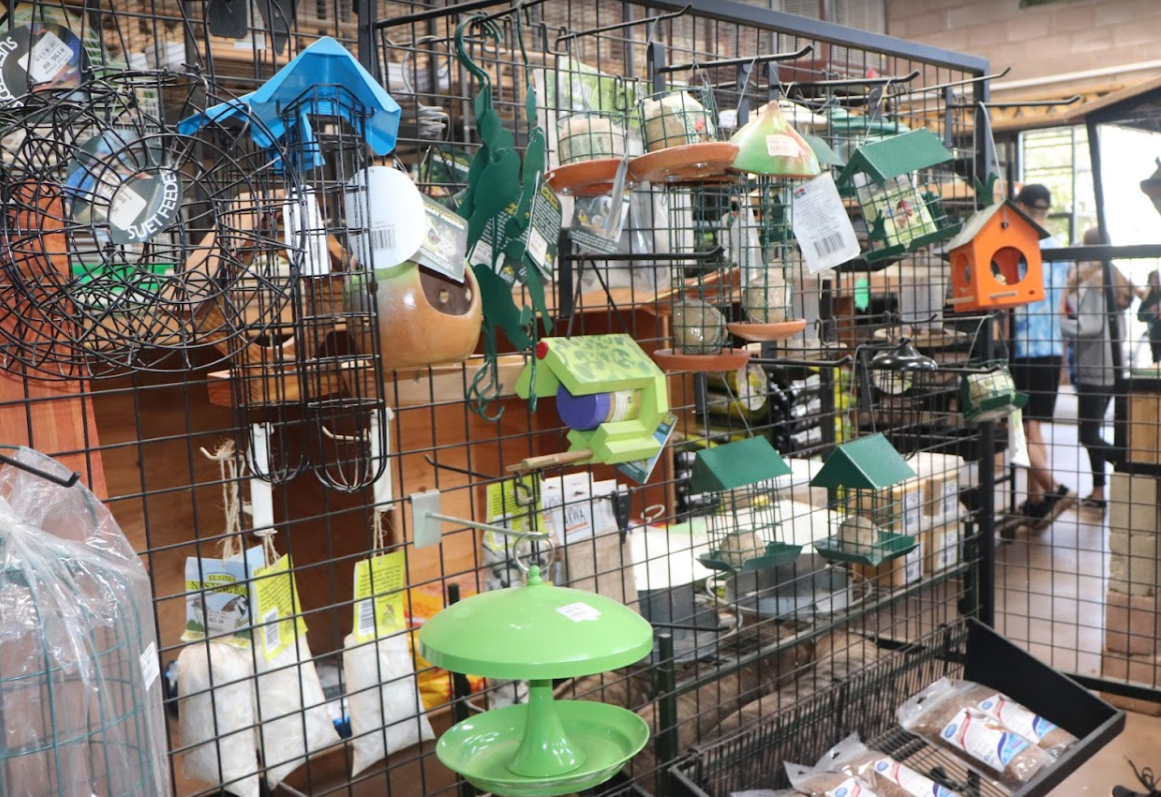 Bird Feeders for Sale