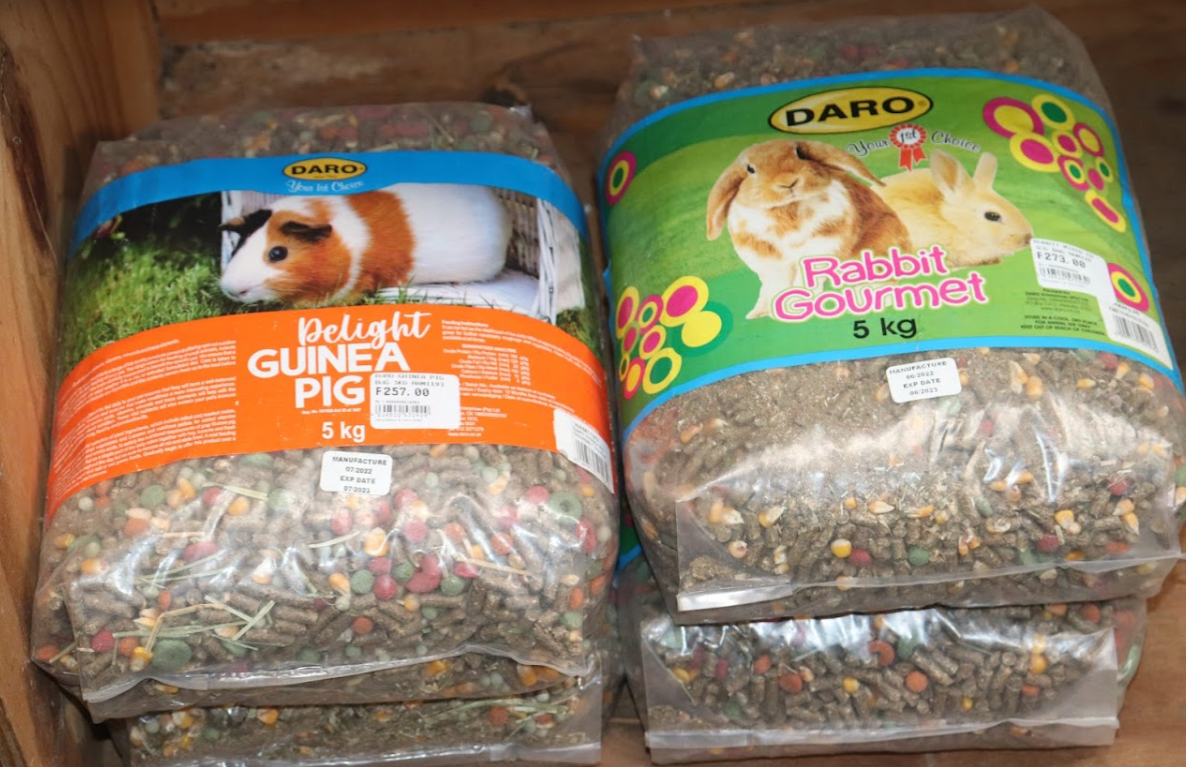 Rabbits for Sale @Creatures & Critters Pet shop Hillcrest