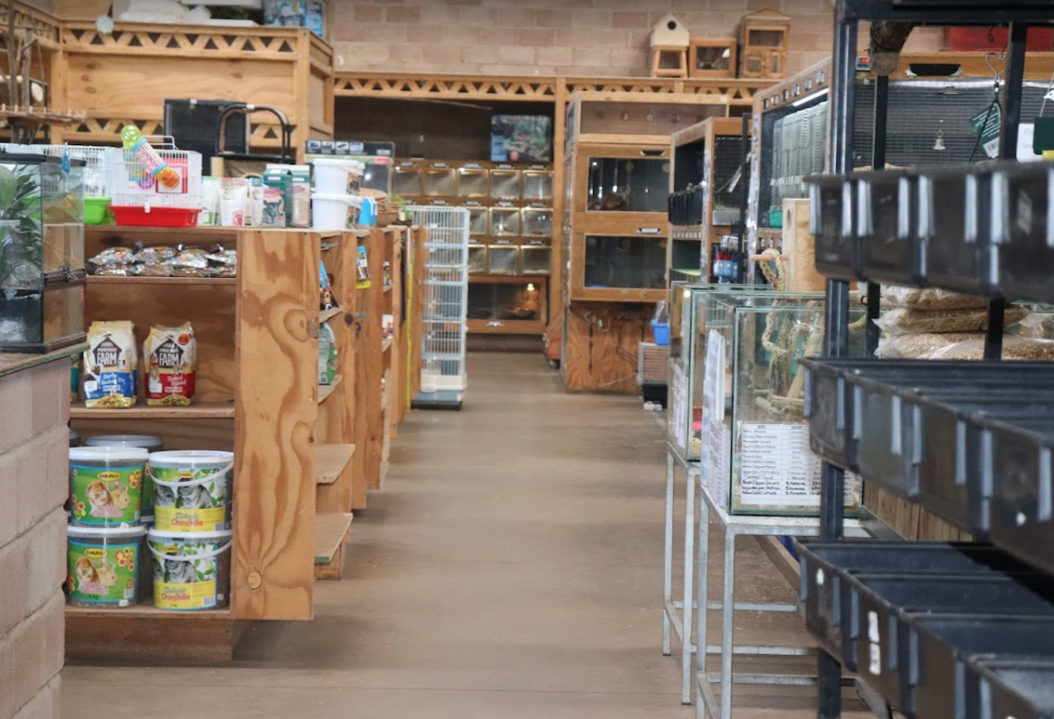 Pet Shops in Durban - Creatures and Critters