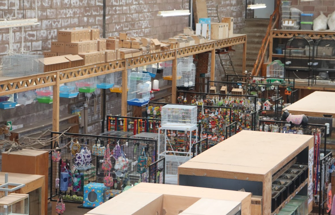 Pet Shops in Durban - Creatures and Critters