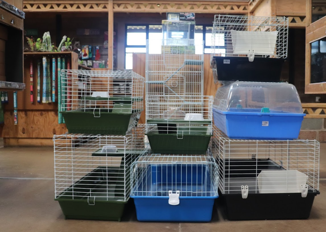 Pet Shops in Durban - Creatures and Critters