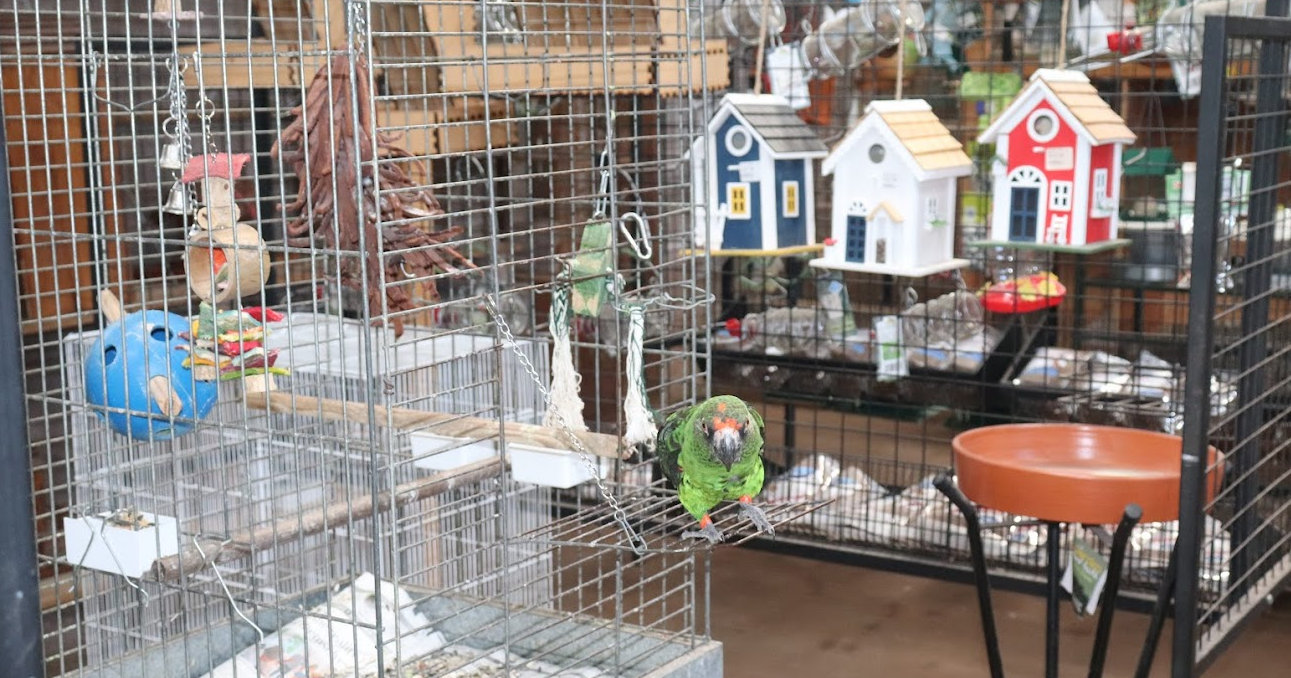 pet-shops-in-durban-creatures-critters-the-pet-supply-store