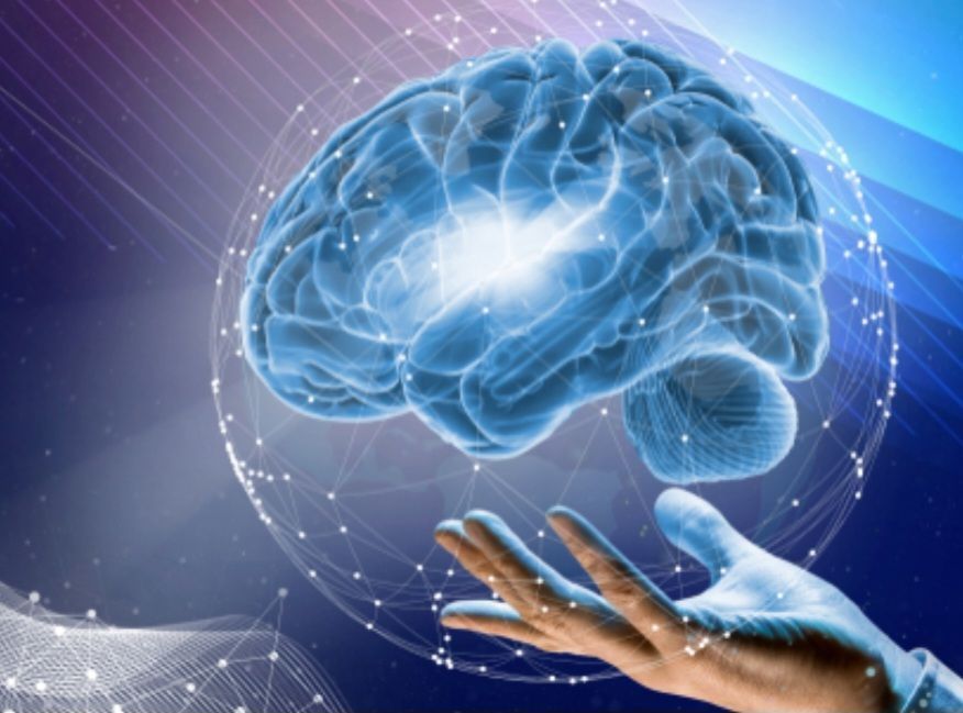 A hand is holding a brain in front of a blue background.