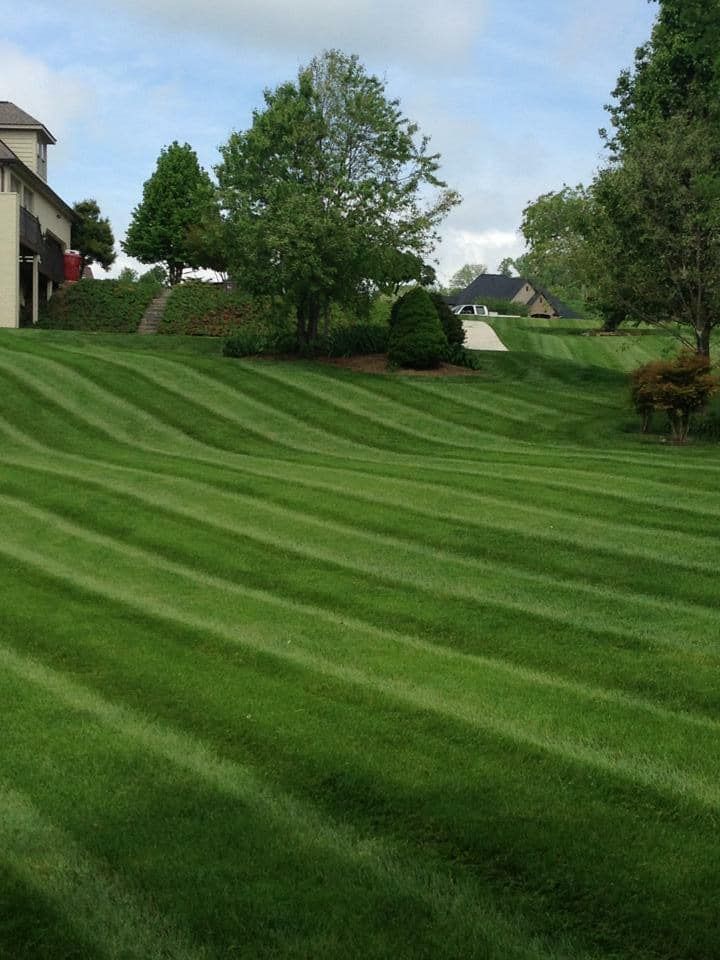 Lush green lawn with diagonal mowing stripes, house in background, cloudy sky.