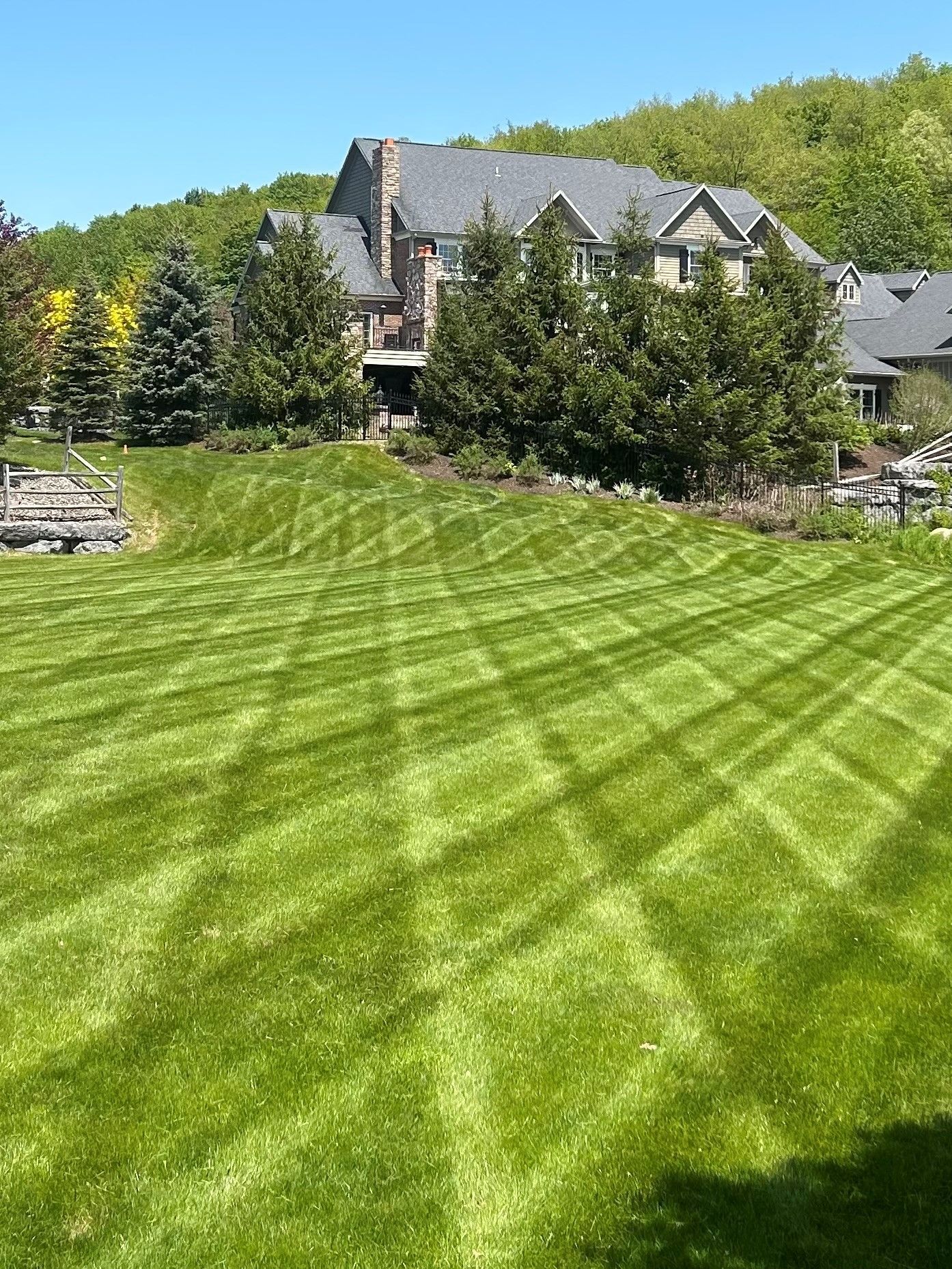 A large lush green lawn with a house in the background.