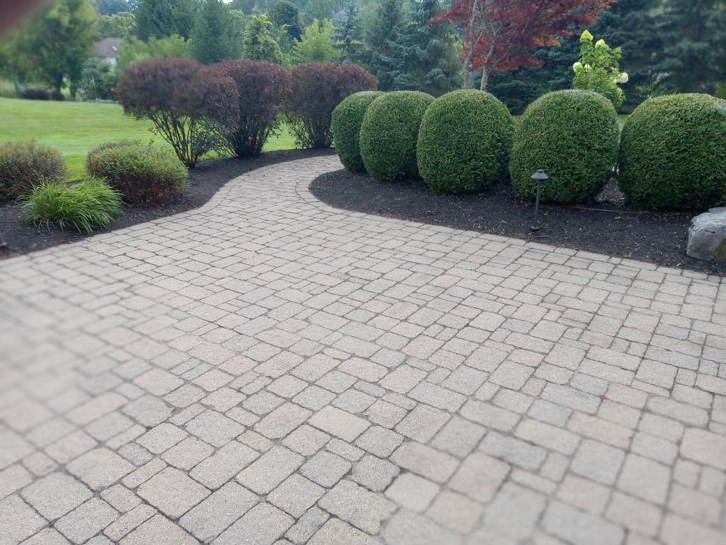 A brick walkway surrounded by bushes and trees in a garden.