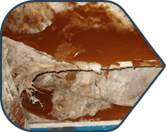 Dry Rot - Effects and Control