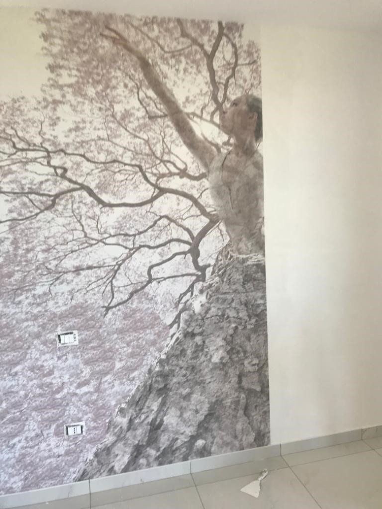 applicazione decorazioni casa