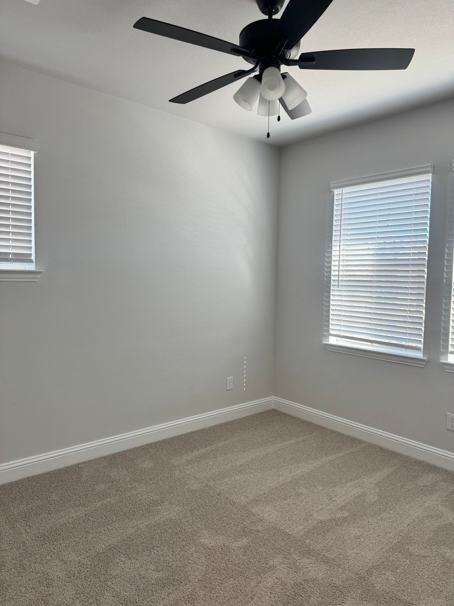 Empty room with gray walls, beige carpet, and a ceiling fan. Two windows with blinds are visible.