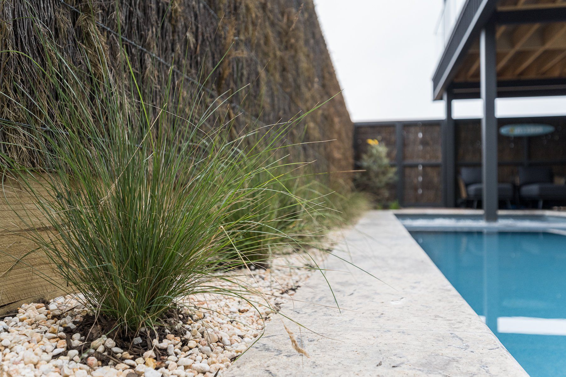 A swimming pool with a bush in the foreground and a house in the background.
