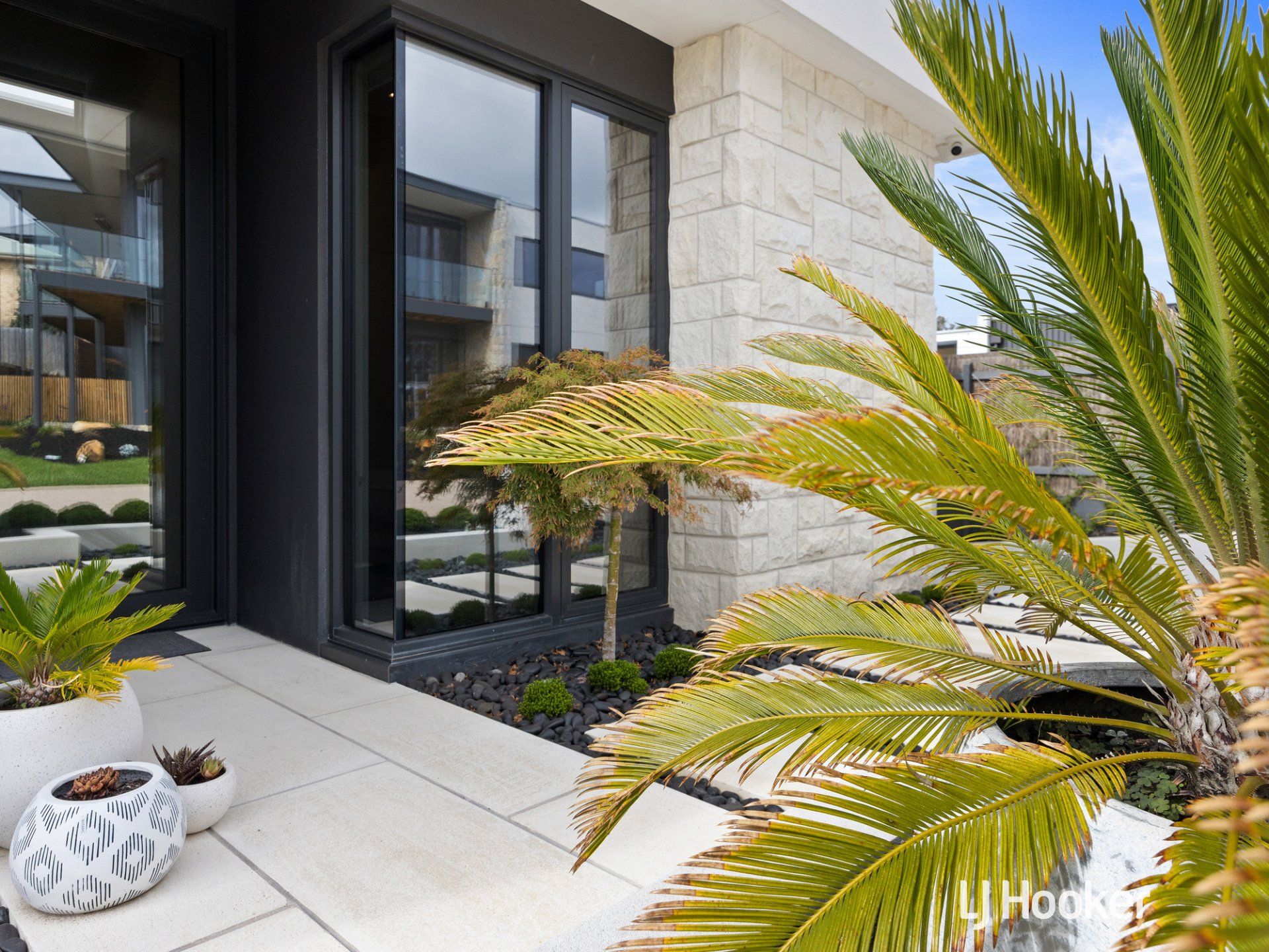 A palm tree is in front of a building with a lot of windows.