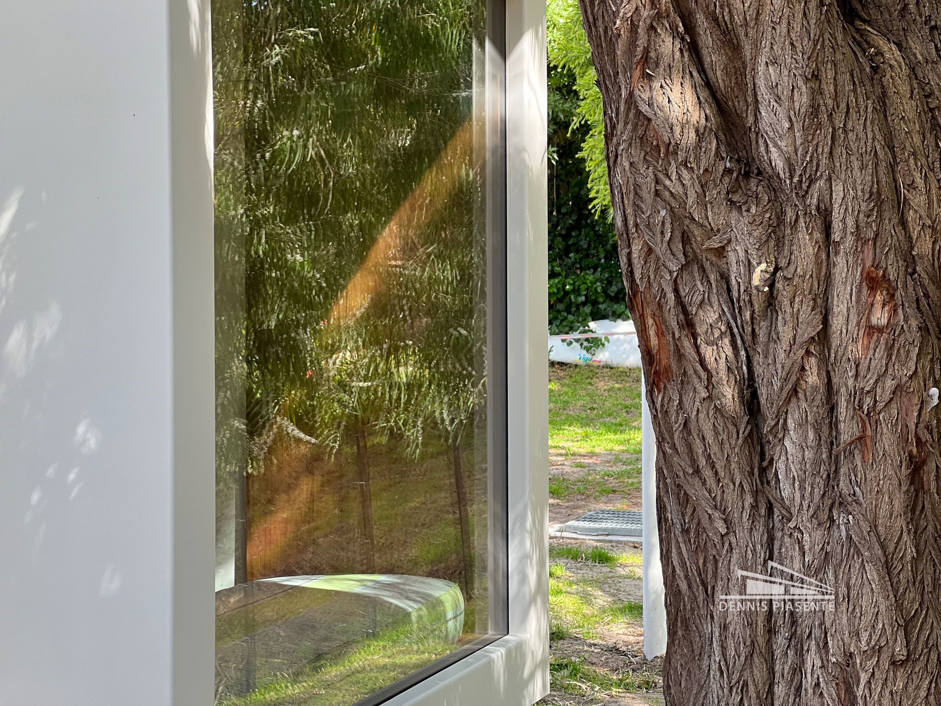 A window with a tree in the background and a reflection of trees in the window.