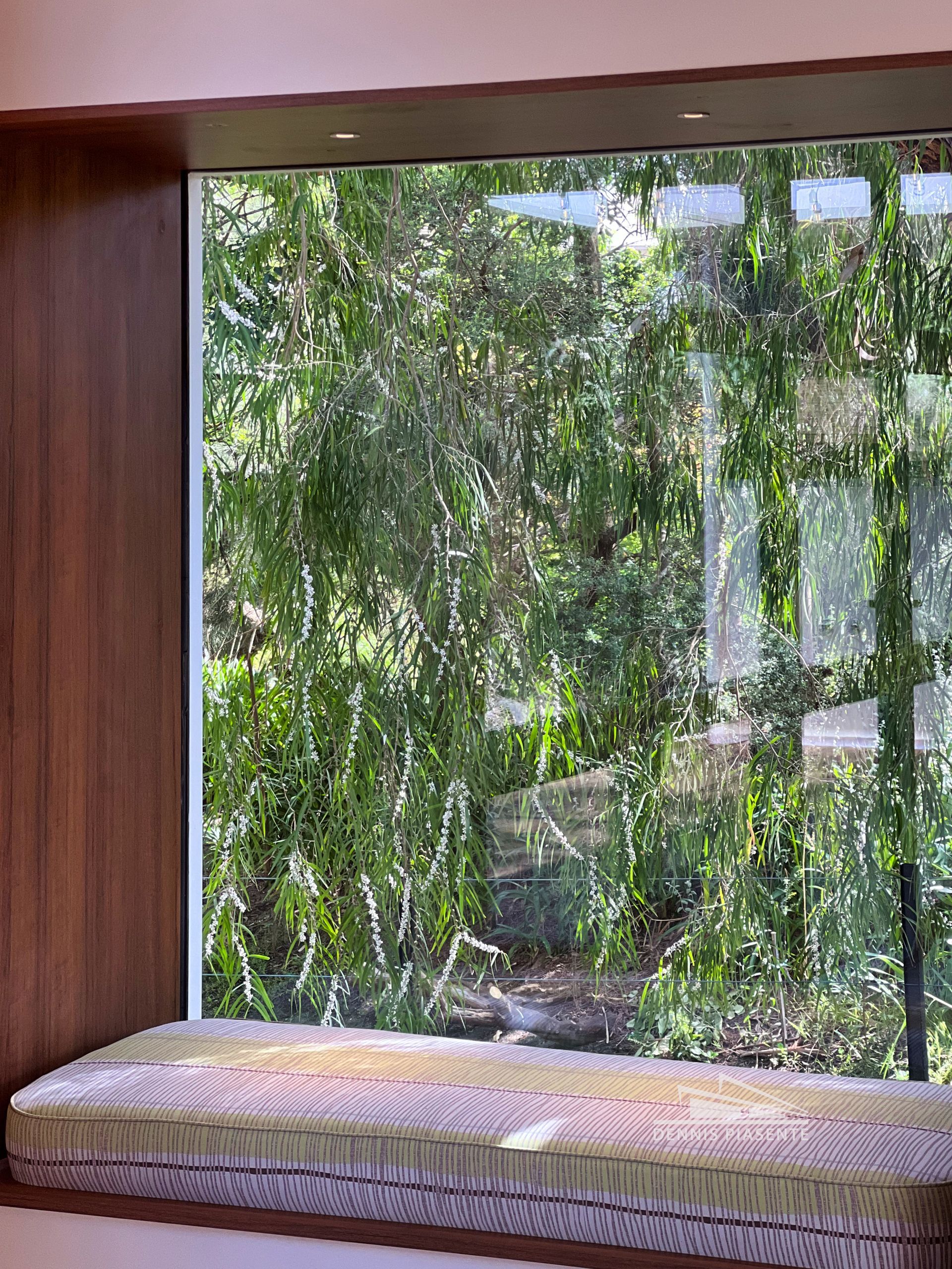 A window seat with a view of a forest.