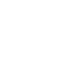 icona - camion