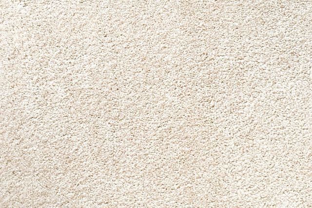 Carpeting Options