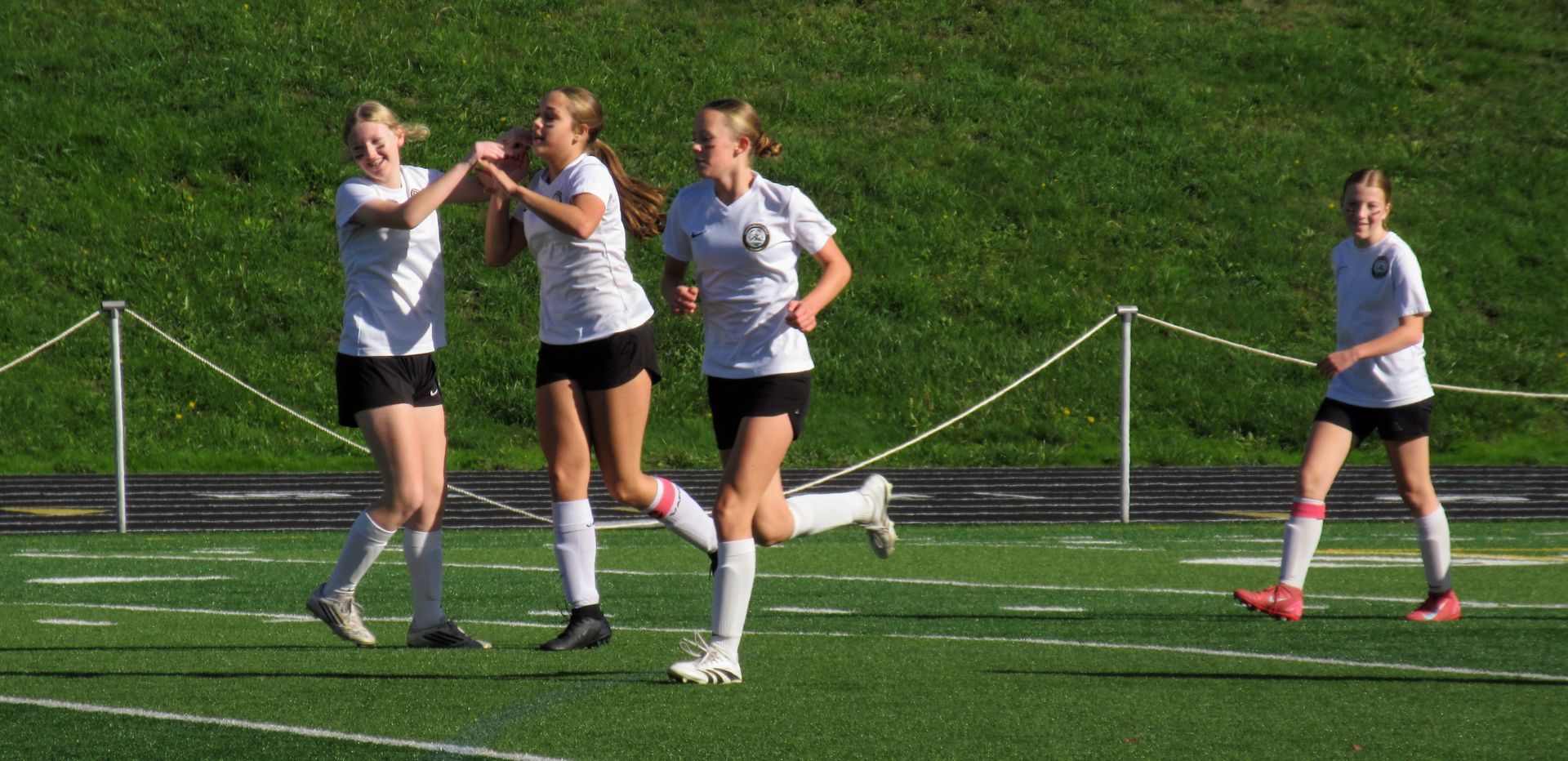 Soccer players celebrating a goal on a green field. Players in white and black uniforms.