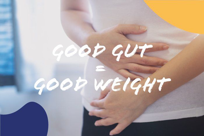 Gut Health Article