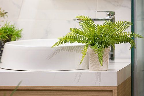 Green Leaf Ferns On Washbasin Counter